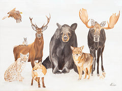 DF198 - Wildlife Gang - 16x12