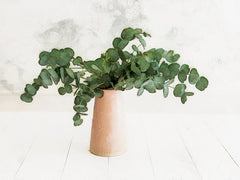 DOG321 - Eucalyptus Still Life - 16x12