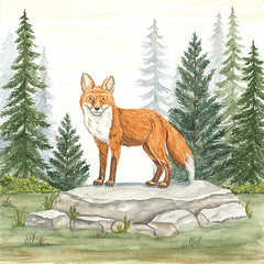 DS2400 - Fox in Forest - 12x12