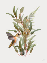 FEN1294 - Hummingbird Grove I - 12x16