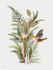 FEN1295 - Hummingbird Grove II - 12x16
