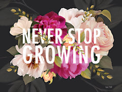 FEN303 - Never Stop Growing   - 16x12