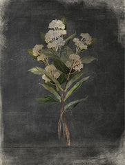 FEN944 - Gilded Yarrow - 12x16