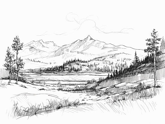 Heidi Kuntz HK242 - HK242 - Mountain Pencil Sketch   - 16x12 pen and ink mountains, alpine valley sketch, minimalist line art, evergreen trees, open meadow, modern rustic drawing, contour lines, outdoor scenery, monochrome illustration, clean white background from Penny Lane