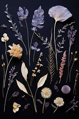 HK355 - Amethyst Night Pressed Flowers II   - 12x18