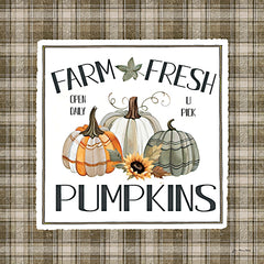 JO380 - Farm Fresh Pumpkins - 12x12