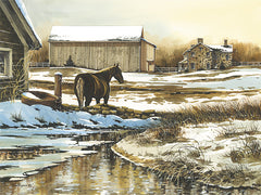 JR457 - Looking Back - 16x12