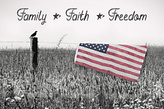 Lori Deiter LD3318 - LD3318 - Family, Faith, Freedom - 18x12 Photography, Patriotic, Independence Day, American Flag, Faith, Faith, Freedom, Typography, Signs, Textual Art, Landscape, Fields, Fence, Bird, Black & White from Penny Lane