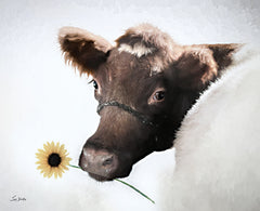 LD3383 - Don't Eat the Flowers   - 16x12