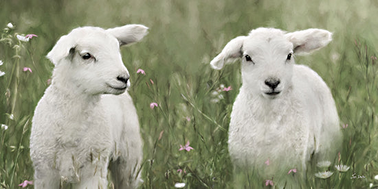 Lori Deiter LD3424 - LD3424 - Little Lambs - 18x9 Two lambs, spring meadow, soft green grass, pastoral scene, gentle animals, nature setting, baby sheep, floral field from Penny Lane