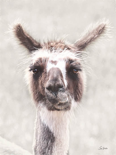 Lori Deiter LD3455 - LD3455 - Quizzical Alpaca - 12x16 llama close-up portrait, soft background, expressive animal face, humorous farm animal, gentle photography style, white and brown fur from Penny Lane