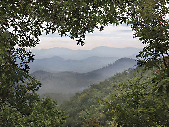 Lori Deiter LD3531 - LD3531 - Lovely View - 16x12 Mountain landscape, scenic view, forest hills, misty mountains, natural frame of trees, tranquil nature, wilderness scene from Penny Lane