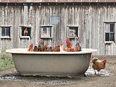 LD3551 - Country Bathtub - 16x12