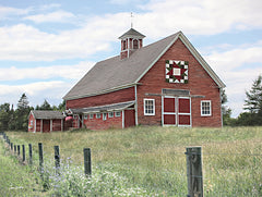 LD3594 - Every Barn Has a Story - 16x12