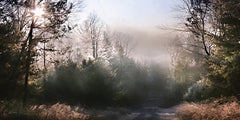 LD3595 - Clearing Fog    - 18x9