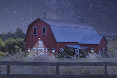 LD3598 - Night in the Country   - 18x12