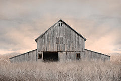 LD3627 - Home on the Range - 18x12