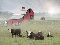 LD3640 - Pennsylvania Dairy Farm - 16x12