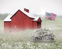 LD3644 - USA Morning Glory - 16x12