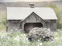 LD3689 - Country Life for Me - 16x12
