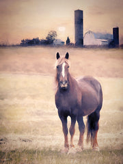 LD3705 - Horse Farm Sunset - 12x16