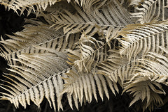 LD3738 - Golden Ferns II - 18x12
