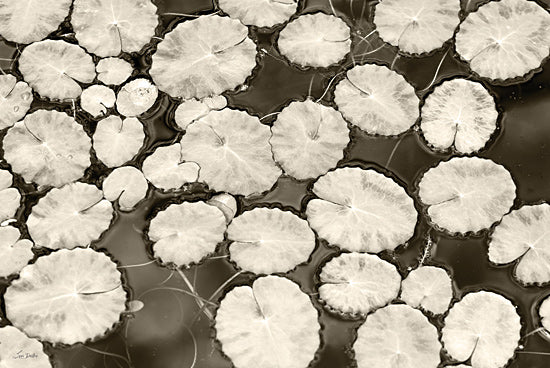 Lori Deiter LD3743 - LD3743 - Patterns in the Pond - 18x12 lily pads, pond surface, aquatic plants, water reflections, monochrome green, natural symmetry, water garden, circular patterns, tranquil scene from Penny Lane