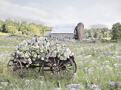 LD3769 - Wagon Wheel Garden - 16x12
