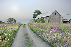 LD3795 - Wildflower Lane - 18x12