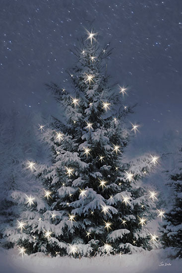 Lori Deiter LD3839 - LD3839 - Twinkling Lights at Christmas - 12x18 Christmas tree, snow, star lights, night sky, decorated tree, holiday scene, glowing lights, snowy night from Penny Lane
