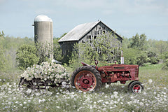 LD3843 - Abandoned Beauty   - 18x12