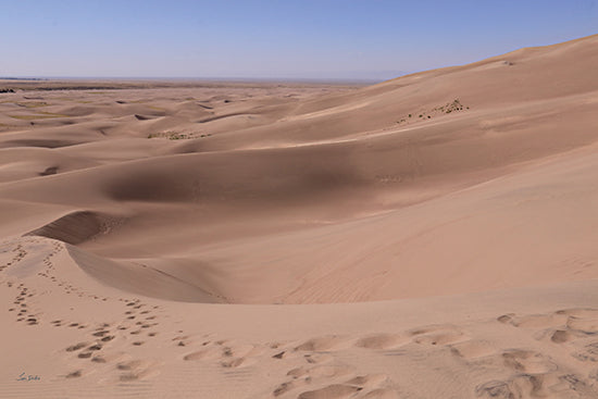 Lori Deiter LD3863 - LD3863 - Nature's Sculptures - 18x12 sand dunes landscape, desert scene, nature photography, footprints in sand, vast wilderness, natural light, painterly style, outdoor travel photography from Penny Lane