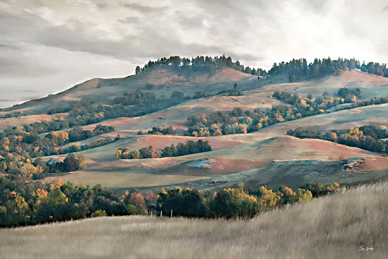 Lori Deiter LD3874 - LD3874 - Rolling Hills and Golden Fields - 18x12 rolling hills, trees, autumn colors, nature, landscape, painterly, fall, vibrant colors, scenic view from Penny Lane