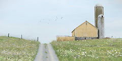 LD3879 - Buttercup Barn - 18x9