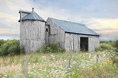 LD3892 - Feeling the Country Blues - 18x12