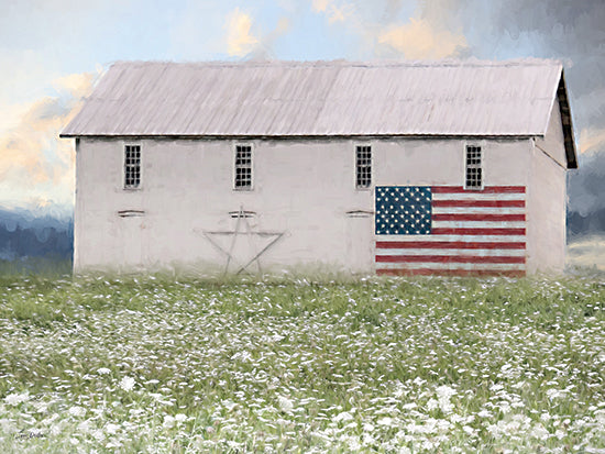 Lori Deiter LD3893 - LD3893 - Summer in America - 16x12 white barn, American flag, star symbol, green field, wildflowers, patriotic, countryside, bright sky, vintage from Penny Lane