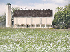 LD3894 - Barn Top Buddies - 16x12