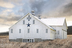 LD3901 - Skyward Dreams - 18x12