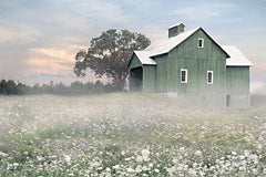 LD3915 - Mist Among the Wildflowers - 18x12