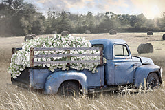 LD3916 - Vintage Vibes - 18x12