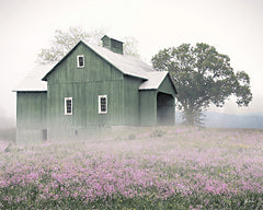 LD3917 - Olive Branch Farm - 16x12