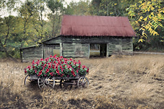 LD3921 - Grandma's Flower Wagon - 18x12