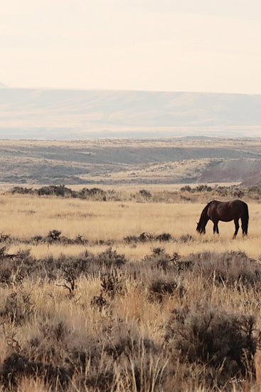 Lori Deiter LD3934 - LD3934 - Majesty of the Wild I - 12x18 single horse grazing, wild horse, mustang, open prairie, western landscape, wide open space, distant hills, mountains, sagebrush, grassland, nature, calm, minimal, photography, neutral tones, rustic from Penny Lane