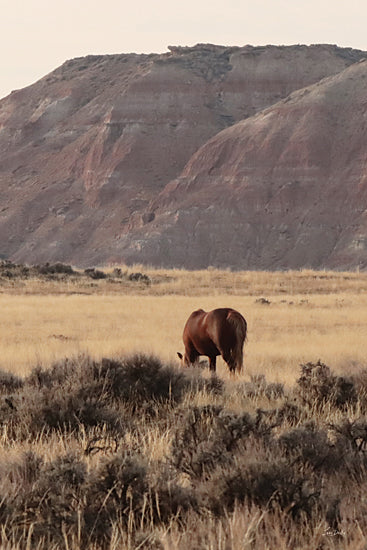 Lori Deiter LD3936 - LD3936 - Majesty of the Wild III - 12x18 grazing horse, western prairie, open landscape, mountain backdrop, sagebrush, grassland, rustic ranch, nature, photography, neutral tones, peaceful, minimalist from Penny Lane