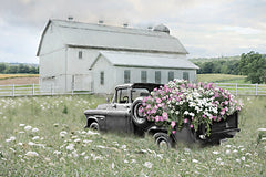 LD3975 - Meadow Magic - 18x12