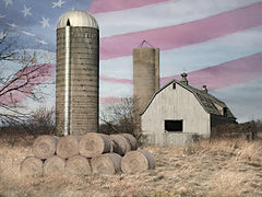 LD3977 - American Heartland - 16x12