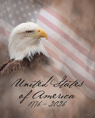 LD4001 - United States of America 1776-2026 - 12x16