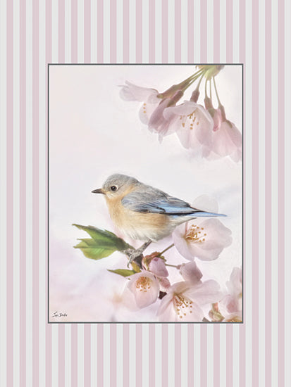 Lori Deiter LD4010 - LD4010 - Blooms and Birds Set I - 12x16 bluebird, cherry blossoms, delicate pastel, springtime, floral background, soft focus, nature photography, gentle light, serene bird, fine art print from Penny Lane