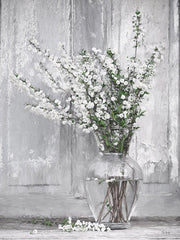 LD4027 - Reflections of White - 12x16