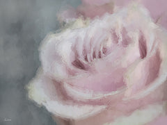 LD4043 - Dreamy Rose - 16x12